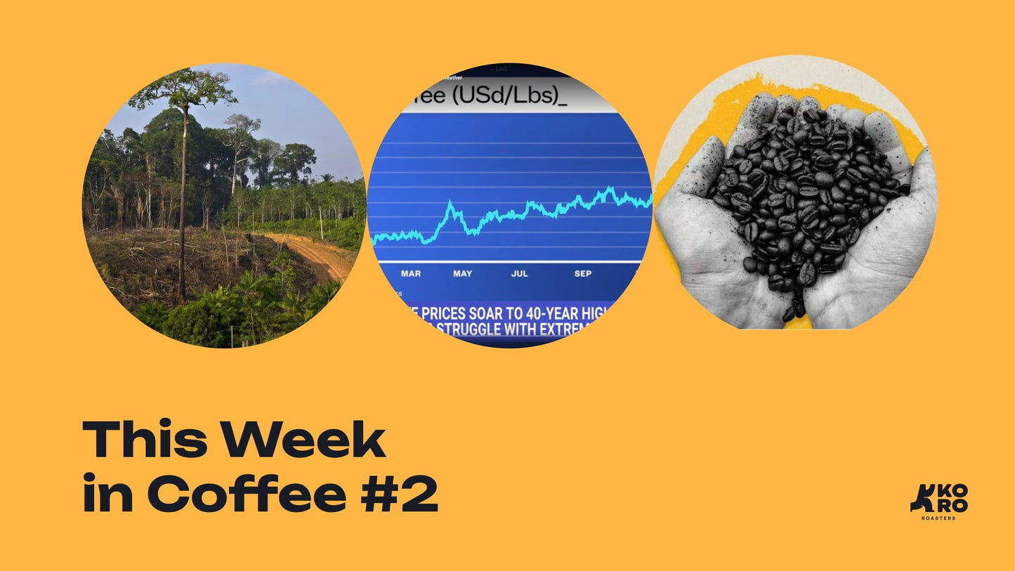 This Week in Coffee #2, December 9th