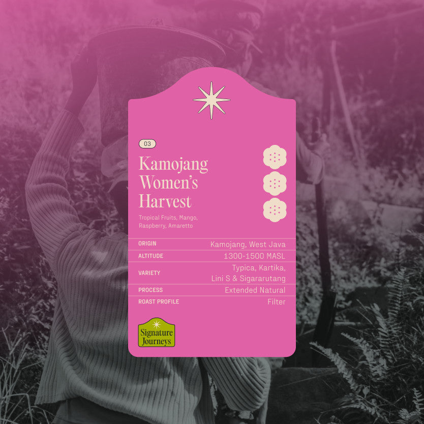 
                  
                    Drip Bags - Kamojang Women's Harvest - Kopi Arabica - Filter Specialty Coffee by Koro Roasters
                  
                
