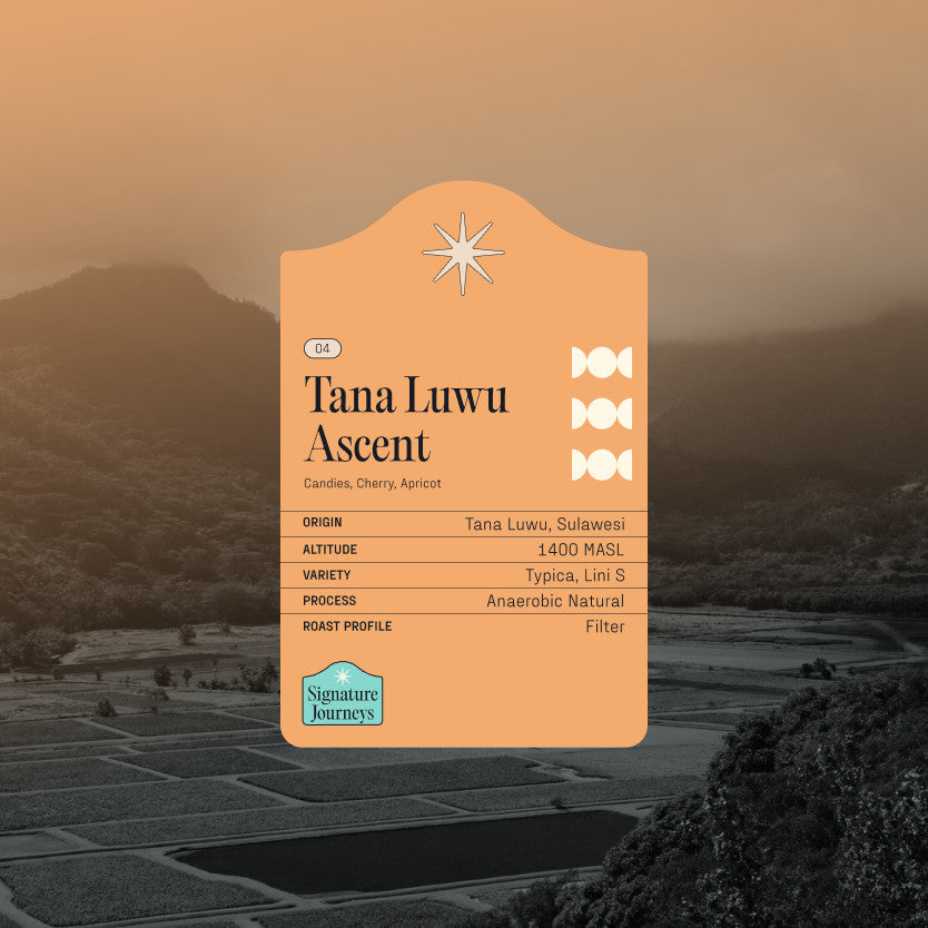 
                  
                    Drip Bags - Tana Luwu Ascent - Kopi Arabica - Filter Specialty Coffee by Koro Roasters
                  
                