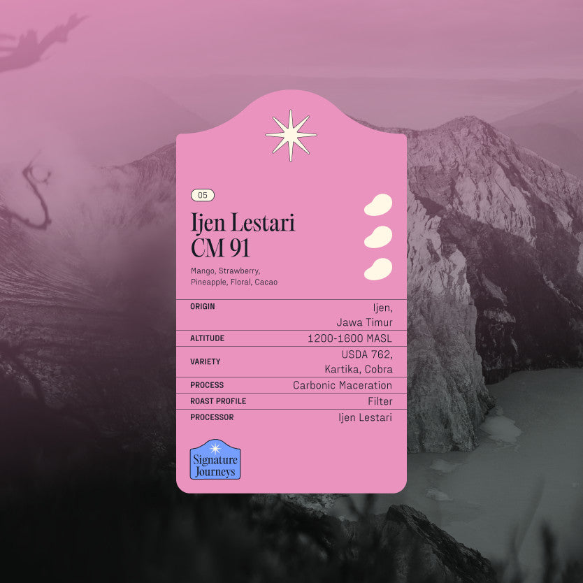
                  
                    Drip Bags - Ijen Lestari CM 91 - Kopi Arabica - Filter Specialty Coffee by Koro Roasters
                  
                